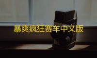 暴爽疯狂赛车中文版