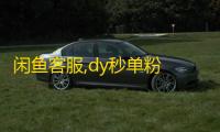 闲鱼客服,dy秒单粉 - 抖音作品赞24小时平台 - dy自助平台业务下单真人