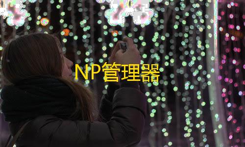 和平精英开挂文件包NP管理器